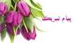 انتخاب جناب آقای دکتر مهدی بهزاد به عنوان عضو هیات علمی نمونه آموزشی سال 1405